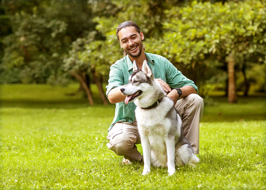 Annuities pros and cons