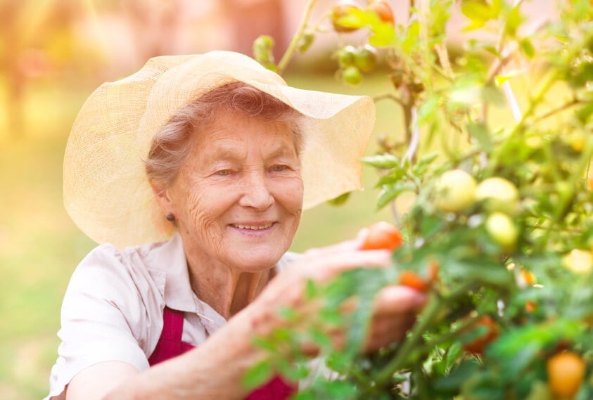 working after retirement