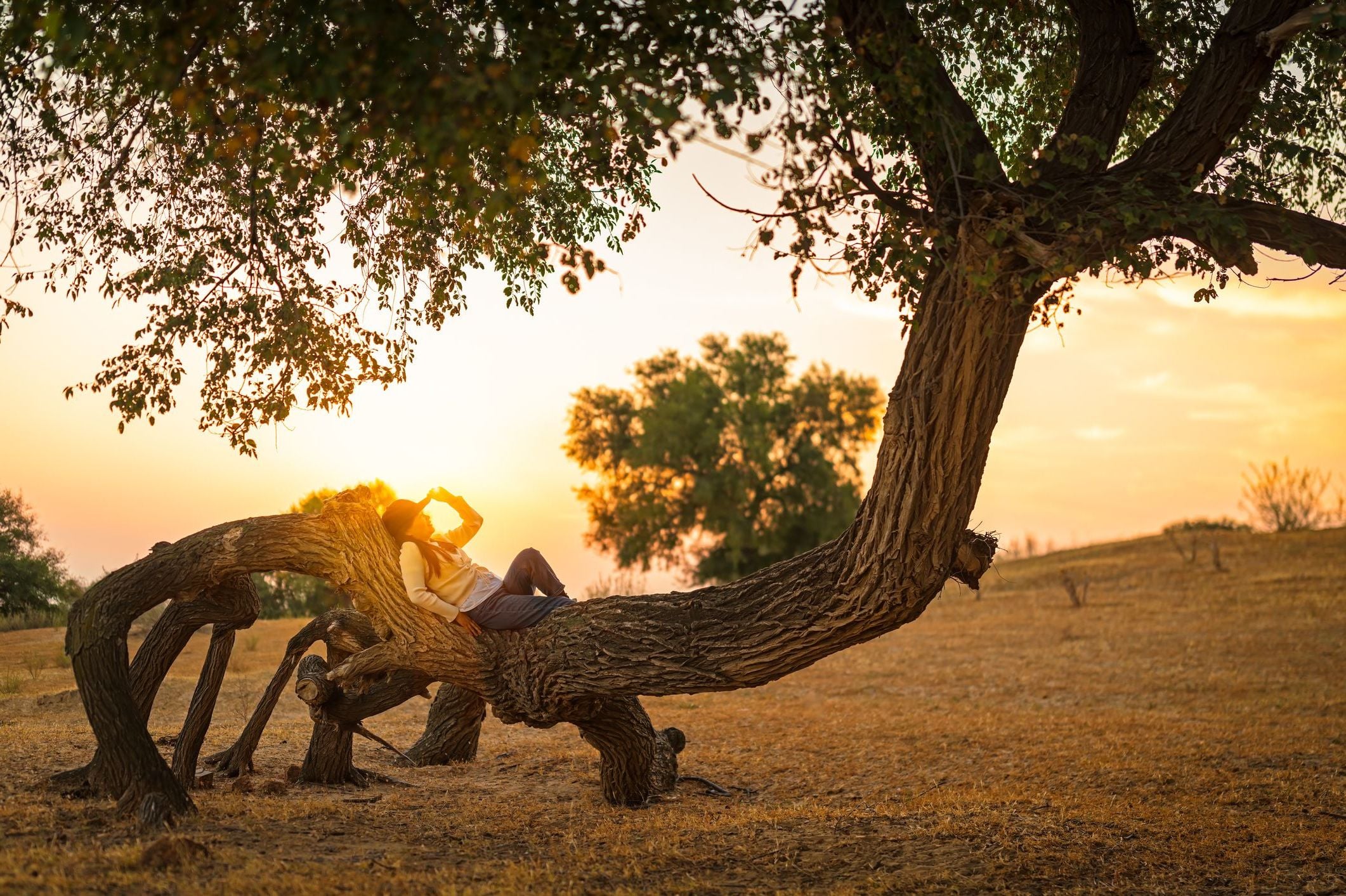 best life expectancy calculators