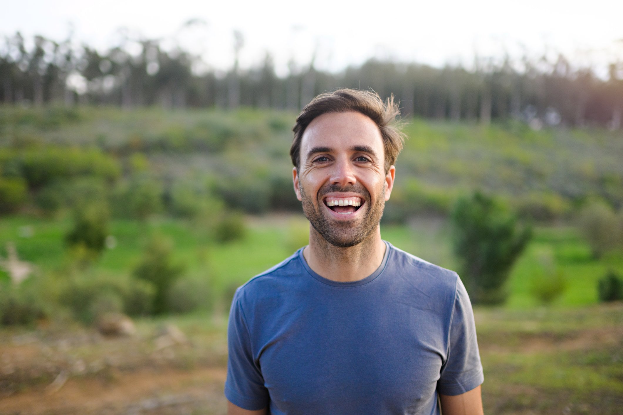 stock market corrections