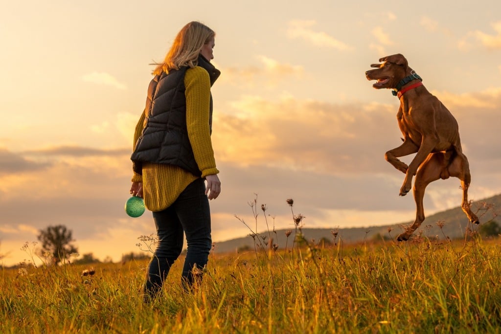 how much to save for retirement