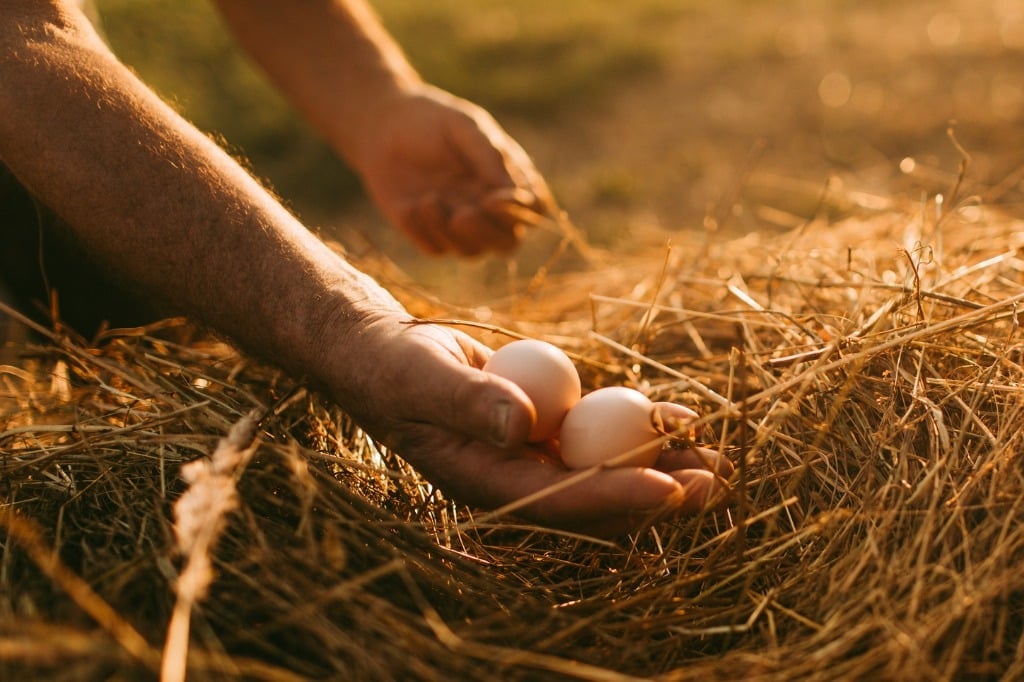 dividend investments for retirement income