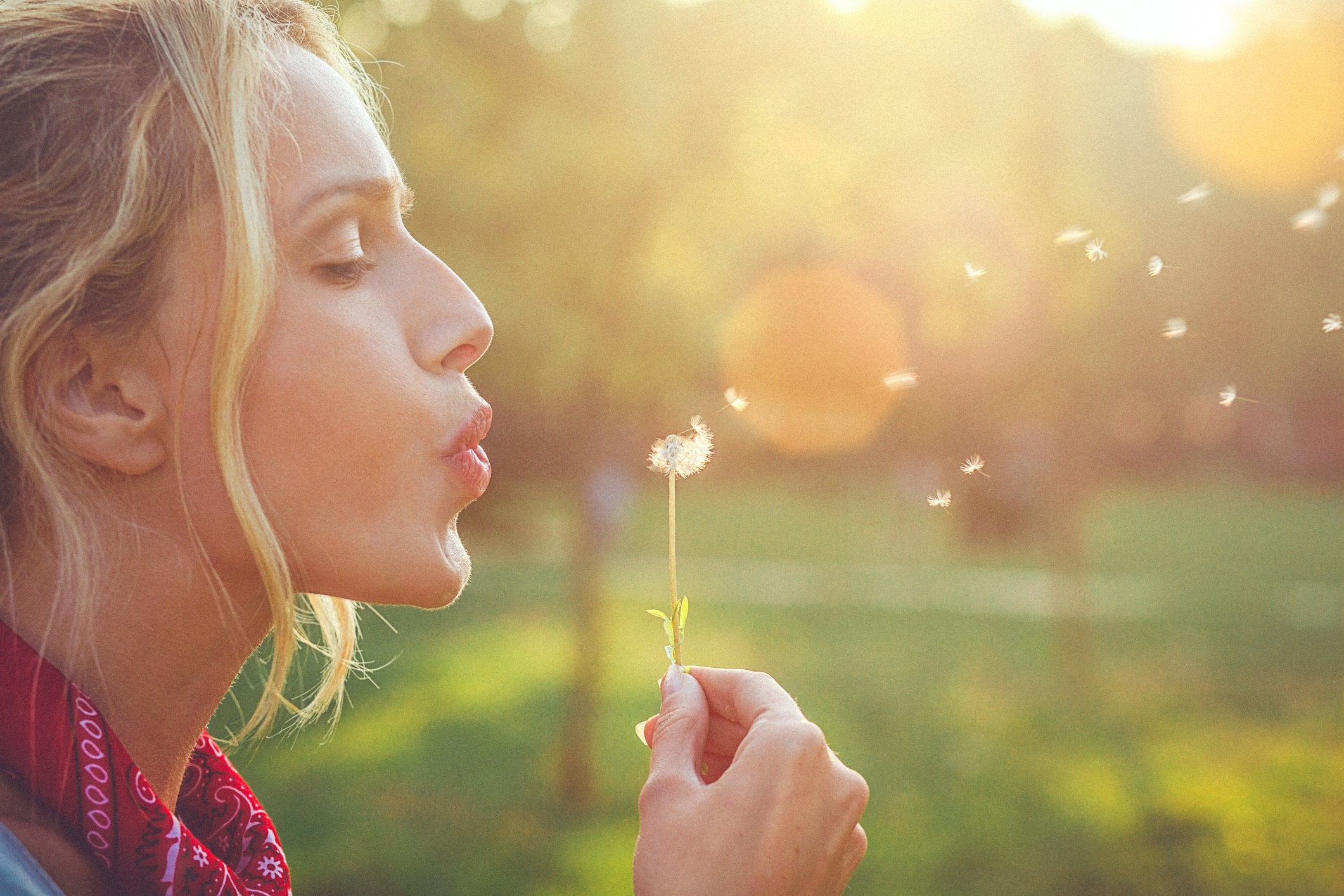 financial spring cleaning